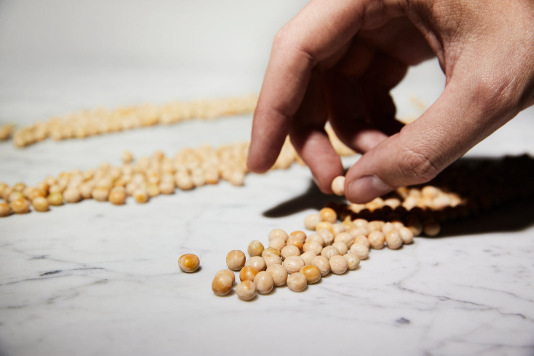 WHY PEA PROTEIN